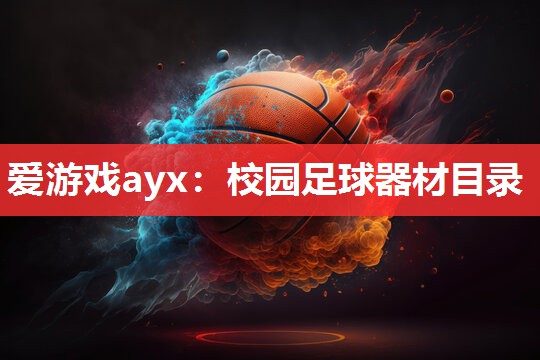 爱游戏ayx：校园足球器材目录