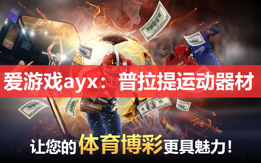 爱游戏ayx：普拉提运动器材