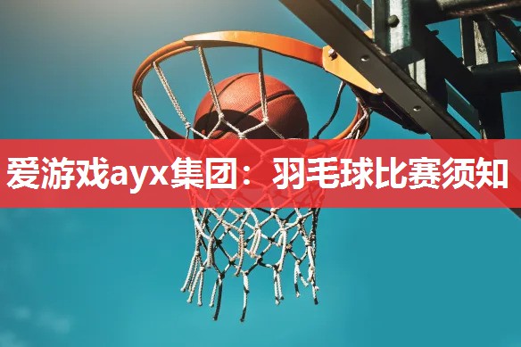 爱游戏ayx集团：羽毛球比赛须知