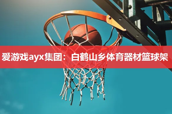 爱游戏ayx集团：白鹤山乡体育器材篮球架