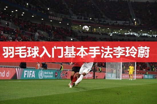 羽毛球入门基本手法李玲蔚 羽毛球入门基本手法李玲蔚